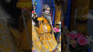 Vrindavan bhakti [upl. by Balough]