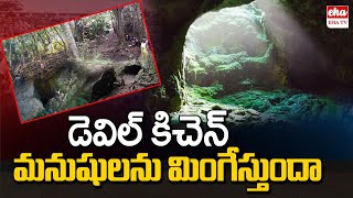 Mystery Behind Devils Kitchen  Guna Caves  Manjummel Boys  EHA TV [upl. by Song353]