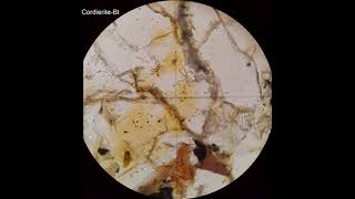 Cordierite tutorial Optical mineralogy [upl. by Che]