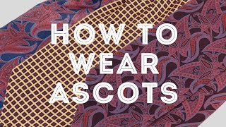 How To Wear An Ascot Cravat amp Plastron The Elegant Way  Gentlemans Gazette [upl. by Coy553]