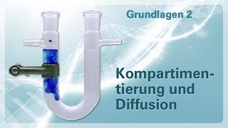 Grundlagen 02 – Kompartimentierung und Diffusion [upl. by Haswell]