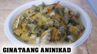 GINATAANG ANINIKAD  HOW TO COOK EDIBLE SEASHELL [upl. by Anailil]