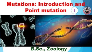 Mutations Introduction and Point mutation  Genetics  HSR Bioinfo [upl. by Marlyn595]