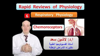 Physiology ReviewsRespiration Chemical regulation of respiration chemoreceptors [upl. by Sathrum342]