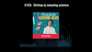 Absolute Geneius S1E5 Shrimply amazing science [upl. by Jule]