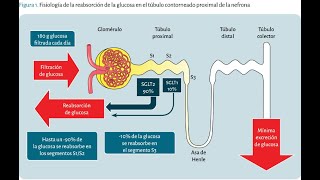 Inhibidores de la recaptación de serotonina y noradrenalina o Inhibidores duales [upl. by Horton]