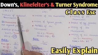 Non Disjunction  Downs Syndrome Klinefelters Syndrome And Turners Syndrome  Class 12 Biology [upl. by Monreal844]