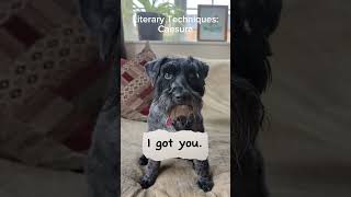 Literary Techniques Caesura dog [upl. by Zach]