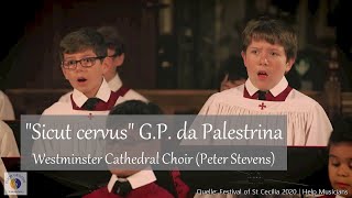 Palestrina quotSicut cervusquot  Westminster Cathedral Choir Peter Stevens  Help Musicians UK [upl. by Moffitt]