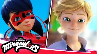 MIRACULOUS  🐞 PERFECTION 🐾  SEASON 5  Tales of Ladybug amp Cat Noir [upl. by Zelikow]