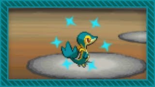 LIVE Shiny Snivy after 19524 SRs in White DTQ 1 [upl. by Gorlicki]