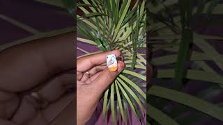 Femi Nail Studio 👉Beach nail art👈 shorts shortvideo shortsfeed nailart trendingshorts trending [upl. by Nivrem]