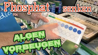 Phosphat senken  Algen vorbeugen Teil 2  verstehen messen ändern [upl. by Ybreh]