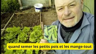 Comment semer les pois mangetout [upl. by Naashom231]