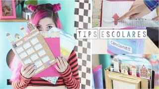 SEPARADORES DE CARPETA ✩ tips escolares  Ann Look [upl. by Hairym]