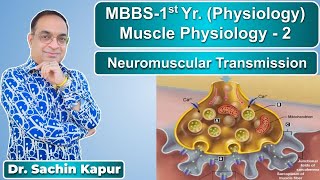 MBBS  First Year  Muscle Physiology  Neuromuscular Transmission  Dr Sachin Kapur  AIIMS [upl. by Eyak]