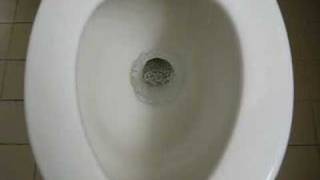 How American Toilets Flush [upl. by Ahsikam]