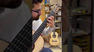 Piazzolla on microtonal guitar with perfect tuning in 12tet [upl. by Cordi]