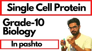 Single Cell protein  Class 10th biology in pashto [upl. by Kania]