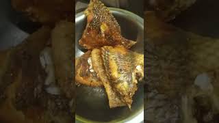 tilapia macher jhol তেলাপিয়া মাছের ঝোল  cooking recipe youtube [upl. by Jarib]