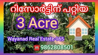 WRE165 3 acre Resort land in Wayanad വയനാട്ടിൽ റിസോർട്ടിന് പറ്റിയ 3 ഏക്കർ  Wayanad Real Estate [upl. by Ballou]