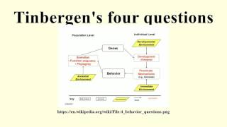 Tinbergens four questions [upl. by Terriss]