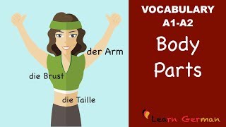 Learn German  German Vocabulary  die Körperteile  Body parts  der Körper  A1 [upl. by Gniw]