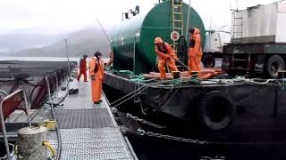 Salmon farm copperalloy nets a first in North America [upl. by Niuqauj753]