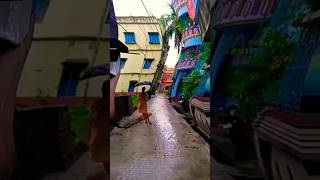 বৃষ্টি পড়ে ফোটা ফোটা পায়ে দিয়া ছিড়া জুতা funnyvideos2024 funny ফানিভিডিও comedy shorts [upl. by Inoj]