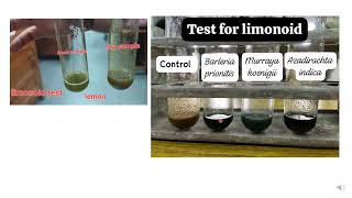 Terpenoid and Limonoid Phytochemical testethnobotanyBotany [upl. by Ruberta]