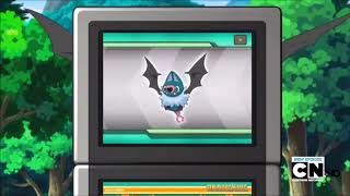 Swoobat Pokédex Entry  The Four Seasons Of Sawsbuck [upl. by Eittol849]