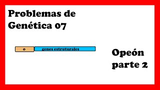 OPERÓN lac EJERCICIOS RESUELTOS 🤯😱operon lactosa y triptofano [upl. by Quigley]