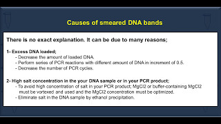 Causes of the smeared DNA bands after Gel electrophoresis and recommendations to avoid it [upl. by Eleanora911]