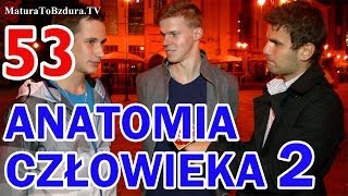 ANATOMIA CZŁOWIEKA CZĘŚĆ 2  ODCINEK INTERAKTYWNY 53 [upl. by Ynomrah]