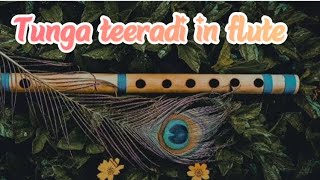 Tunga teeradi Bajan in fluteRaga Bhopali [upl. by Aimahs]