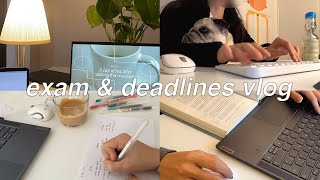 Exam amp deadlines study vlog  a week of lots of studying cramming what I eat in busy days [upl. by Holly-Anne]