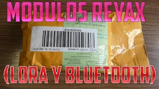 Módulos LoRa y Bluetooth de Reyax [upl. by Schatz]