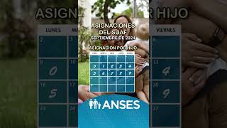 Fechas de pago de Anses al SUAF en septiembre de 2024 anses [upl. by End257]