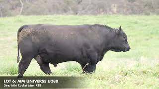 LOT 6 MILLAH MURRAH UNIVERSE U280 [upl. by Rodoeht]