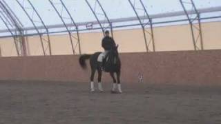 Maria and Vandol training for Arthur Kottas Heldenberg at Nobynäs [upl. by Lancaster]