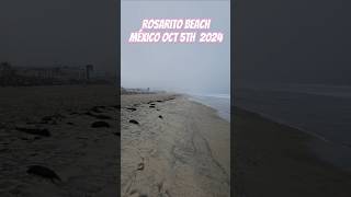 Rosarito Beach México Today Oct 5th 2024 64° little wind we are going clamming later [upl. by Brinn]