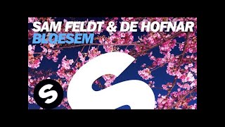 Sam Feldt amp De Hofnar  Bloesem Original Mix [upl. by Yrag]