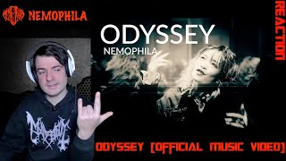 Nemophila  Odissey Official music video REACTION [upl. by Peri]