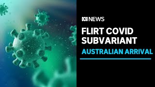 New FLiRT family of COVID subvariants arrives in Australia  ABC News [upl. by Ahsekin]