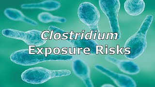 Clostridium Exposure Risks [upl. by Ennagroeg]