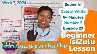 Wednesday Beginner School  Zulu Language Lesson  uLwesithathu  Episode 29 [upl. by Rheingold537]