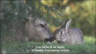 la biche et le lapin [upl. by Cuda]