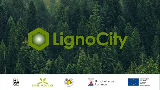 LignoCity webinar Lignin engineering and biomass valorization [upl. by Sitnerp]