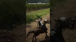 Red Dead Redemption 2 way down we go [upl. by Lathe558]