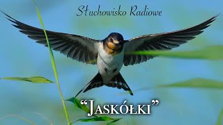 Jaskółki  Joanna Chmielewska  Słuchowisko radiowe [upl. by Kirenoj536]